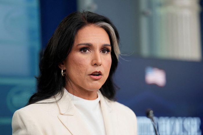  Bà Tulsi Gabbard vừa tuyên bố từ chức Giám đốc Tình báo Quốc gia Mỹ trong tuần trước. Ảnh: Reuters. 