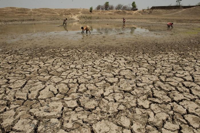 Một cánh đồng khô kiệt ở Chandampet Mandal, Nalgonda thuộc bang Telangana, miền nam Ấn Độ. THX/TTXVN
