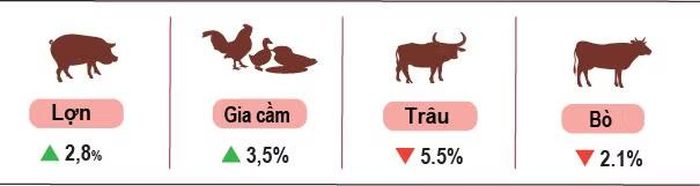 Tốc độ tăng, giảm số lượng gia súc, gia cầm cuối tháng 5/2026 so với cùng thời điểm năm trước. (Nguồn: Cục Thống kê)