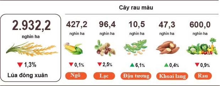Diện tích gieo trồng một số cây hằng năm tính đến 20/5/2026. (Nguồn: Cục Thống kê)