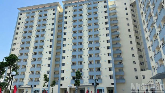  Công trình có diện tích 8.696m2, quy mô 15 tầng với 299 căn hộ, tổng diện tích sàn hơn 42.500m2. 