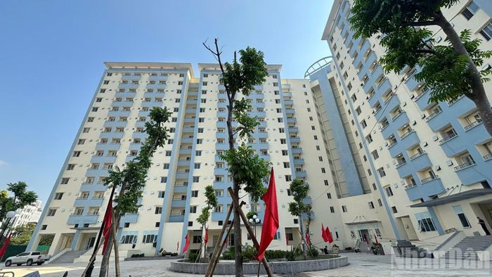Theo quy hoạch, công trình có 299 căn hộ tái định cư. Dự án được khởi công từ năm 2010 và dự kiến hoàn thành vào năm 2013.