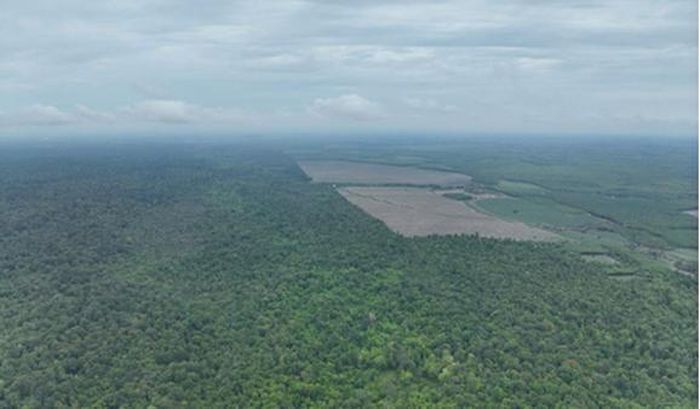 Việc kết hợp UAV, ảnh viễn thám và GIS góp phần nâng cao độ chính xác trong quản lý, bảo vệ tài nguyên rừng.