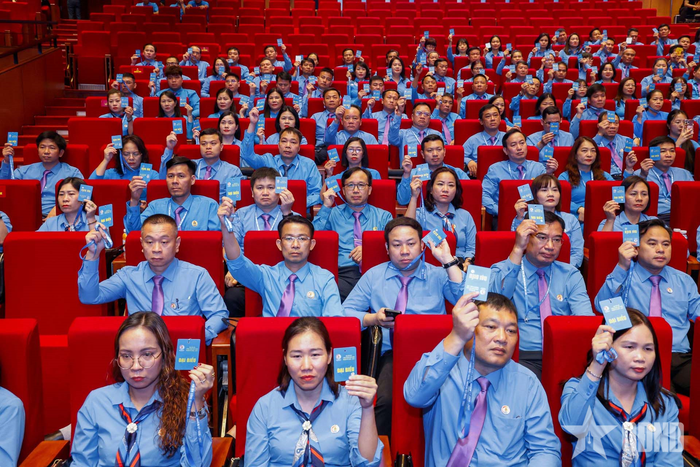  Các đại biểu biểu quyết thông qua chương trình làm việc. 