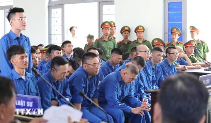 Các bị cáo tại phiên tòa. Ảnh: TTXVN