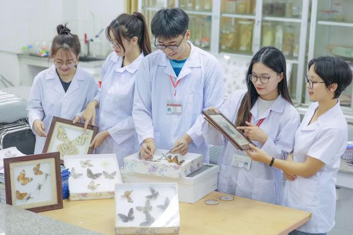Giờ thực hành của sinh viên Trường Đại học Sư phạm Hà Nội 2. Ảnh: NTCC.