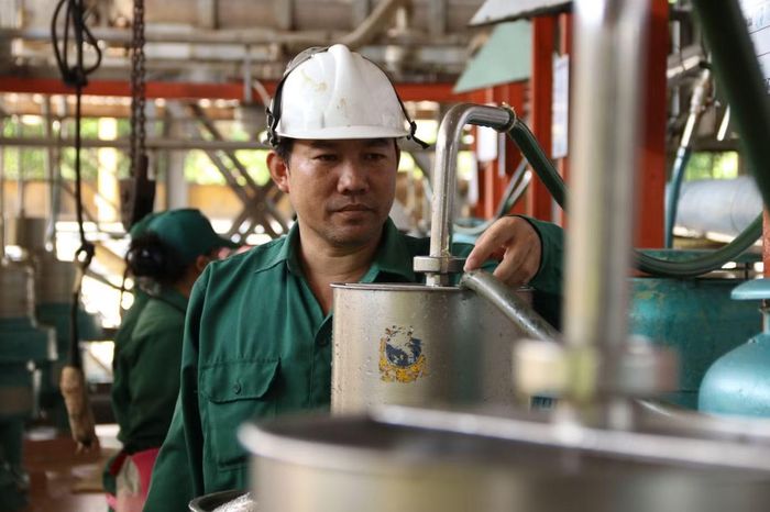 Anh Phạm Văn Tiến, Tổ trưởng Tổ sản xuất mủ luôn đồng hành cùng các đồng nghiệp đảm bảo quy trình và chất lượng sản phẩm