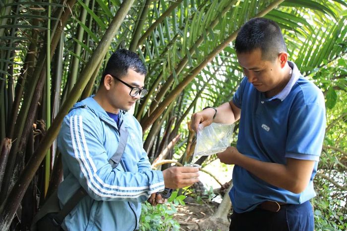 Du khách thưởng thức mật dừa tươi ngay tại chỗ.