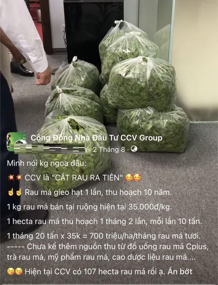Chia sẻ trong cộng đồng nhà đầu tư CCV Group năm 2022: "Cắt rau ra tiền”.