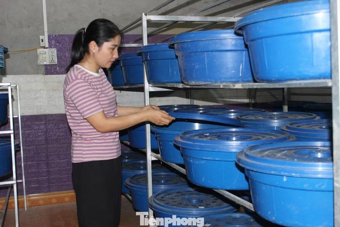 Chị Bùi Thị Huế trong mô hình nuôi đuông dừa của gia đình.