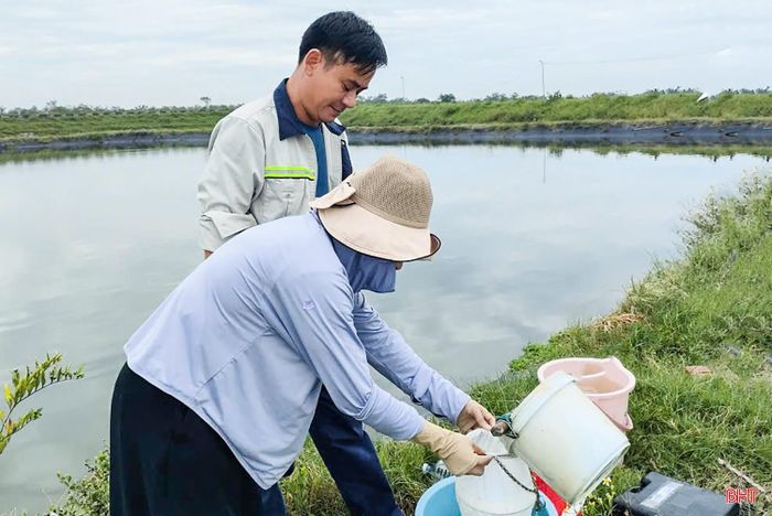 UBND các xã, phường cần phối hợp chặt chẽ với ngành chuyên môn theo dõi diễn biến thời tiết, môi trường và tình hình dịch bệnh tại các vùng nuôi.