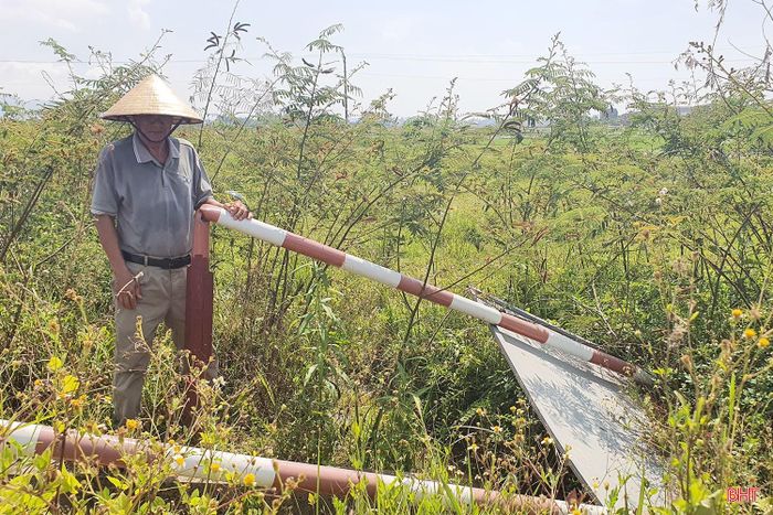Ông Trần Đình Hoa - thôn Yên Xuân, xã Xuân Lộc cho hay: "Việc hệ thống biển báo xuống cấp kéo dài là vấn đề cần sớm được quan tâm khắc phục. Người dân địa phương còn quen đường, chứ người đi lần đầu rất dễ lúng túng, tiềm ẩn nguy cơ mất an toàn giao thông. Chúng tôi mong các cơ quan chức năng sớm kiểm tra, thay mới để bảo đảm an toàn".