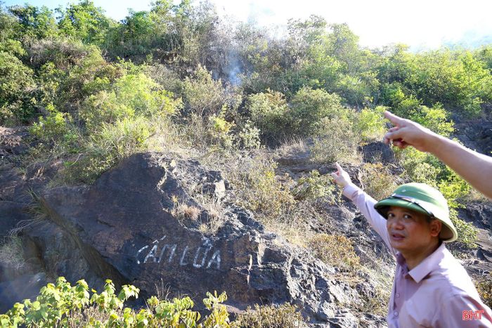 Khu vực xảy ra cháy là rừng phòng hộ nên có thảm thực vật khá dày.
