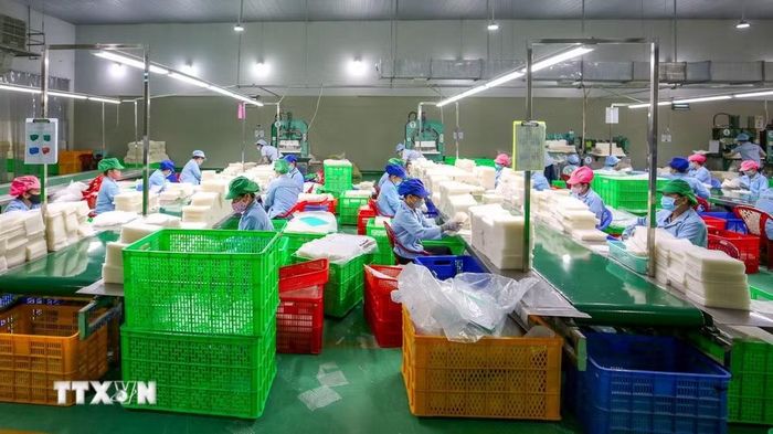Bánh tráng của Công ty Trách nhiệm hữu hạn Tân Nhiên đã có chứng nhận Halal JAKIM, tuân thủ nghiêm ngặt các tiêu chuẩn của luật Hồi giáo Shariah về nguyên liệu, quy trình sản xuất và kiểm soát chất lượng. (Ảnh: Minh Phú/TTXVN)