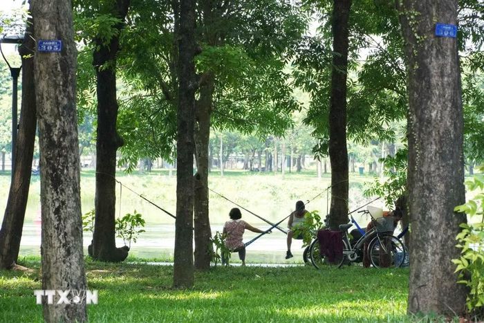 Người dân đến công viên ở bờ Bắc sông Hương, phường Phú Xuân, thành phố Huế, để hóng mát, tránh nắng nóng gay gắt. (Ảnh: Nguyên Lý/TTXVN)