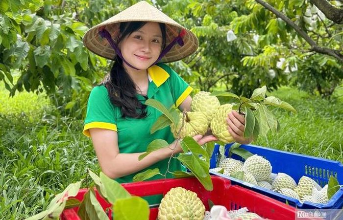 Chị Hà lập nghiệp bằng cách xây dựng, quảng bá thương hiệu nông sản quê nhà.
