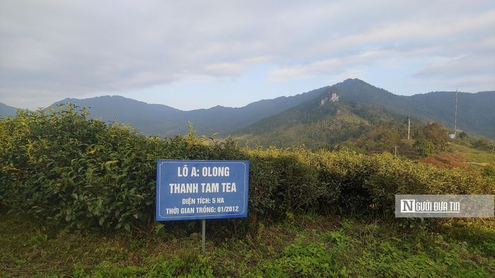 Điểm du lịch tại Phia Oắc - Phia Đén tỉnh Cao Bằng cũng thu hút nhiều khách du lịch đến trải nghiệm các sản phẩm OCOP.