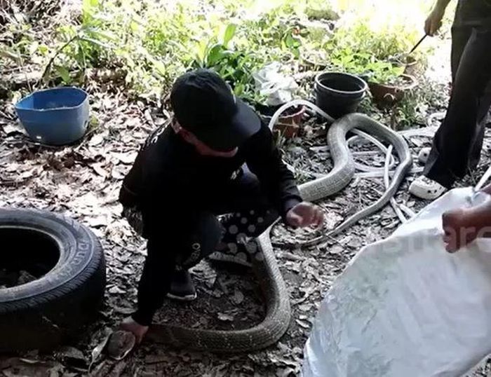 Ảnh cắt từ clip.