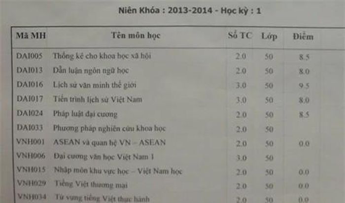 Những điểm số ấn tượng thời sinh viên của Hari Won.