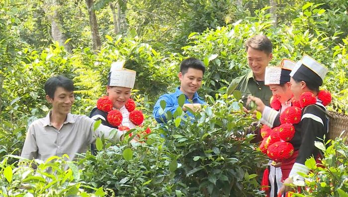 Nông dân tỉnh Tuyên Quang tận dụng tiềm năng, lợi thế địa phương để sản xuất kinh doanh