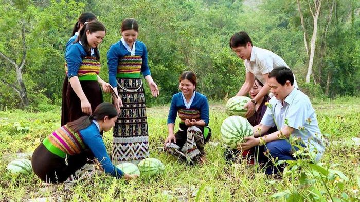 Hoạt động chuyển giao khoa học kỹ thuật đạt nhiều kết quả tích cực