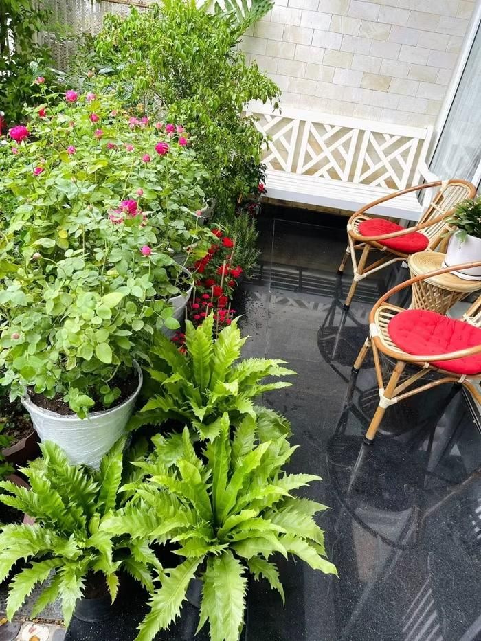 Bộ bàn ghế được đặt giữa không gian xanh mát, tạo nên góc thư giãn đầy thư thái và gần gũi với thiên nhiên
