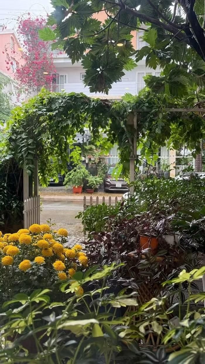 Không gian sống tại TP.HCM của nữ diễn viên gây ấn tượng bởi sự gần gũi với thiên nhiên, mang lại cảm giác thư thái và bình yên giữa nhịp sống đô thị sôi động