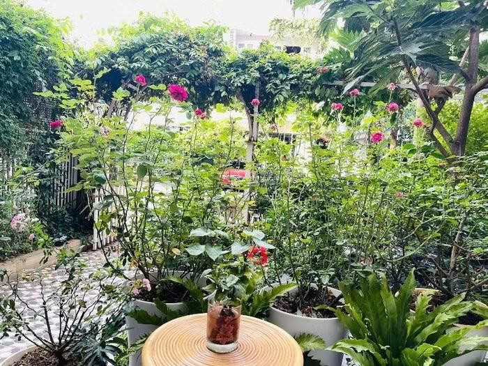 Khu vực cổng vòm nổi bật với những giàn cây leo xanh mướt, bên dưới là các chậu hoa hồng nở rực rỡ