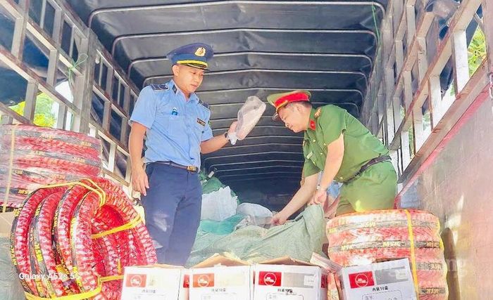 Lũy kế từ đầu năm đến ngày 14/5/2026, Chi cục Quản lý thị trường Gia Lai đã phát hiện 243 vụ vi phạm. Ảnh: QLTT.