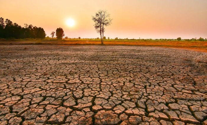 Hình ảnh mặt đất nứt nẻ khi trải qua đợt hạn hán do hiện tượng El Nino gây ra. Ảnh: Reuters