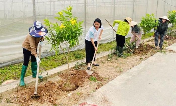 Cán bộ, hội viên phụ nữ phường Cảnh Thụy tích cực trồng, chăm sóc cây xanh tại các công trình "Đường hoa phụ nữ".