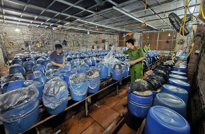  Lực lượng chức năng kiểm tra tại cơ sở sản xuất của Lê Thị Hoan. 