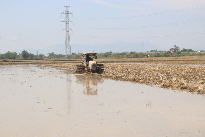 Nhiều thửa ruộng đã được bơm nước đổ ải, nông dân khẩn trương hoàn thiện khâu làm đất để gieo sạ lúa. Ảnh: HOÀNG HIỆP