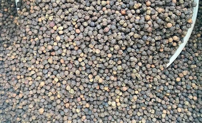 Giá hồ tiêu hôm nay tại Gia Lai giảm 1.000 đồng, về mức 136.000 đồng/kg. Ảnh: M.T