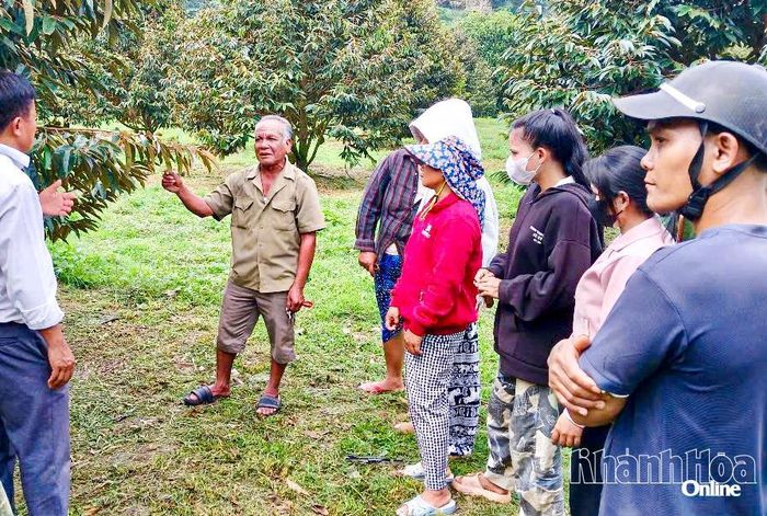 Các hộ dân tham quan học hỏi mô hình trồng sầu riêng hiệu quả.