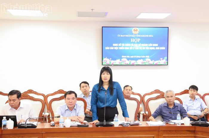 Lãnh đạo Thanh tra tỉnh nêu ý kiến tại cuộc họp.