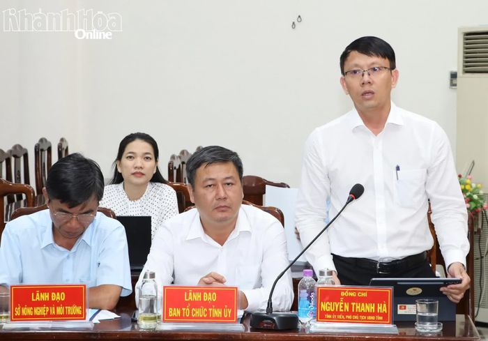 Phó Chủ tịch UBND tỉnh Nguyễn Thanh Hà phát biểu tại buổi làm việc.