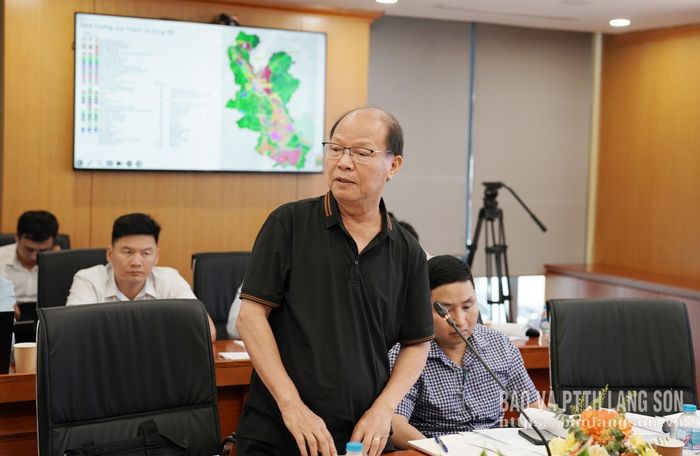 Đại diện Hội Quy hoạch và Phát triển đô thị Việt Nam nêu một số ý kiến tại hội nghị