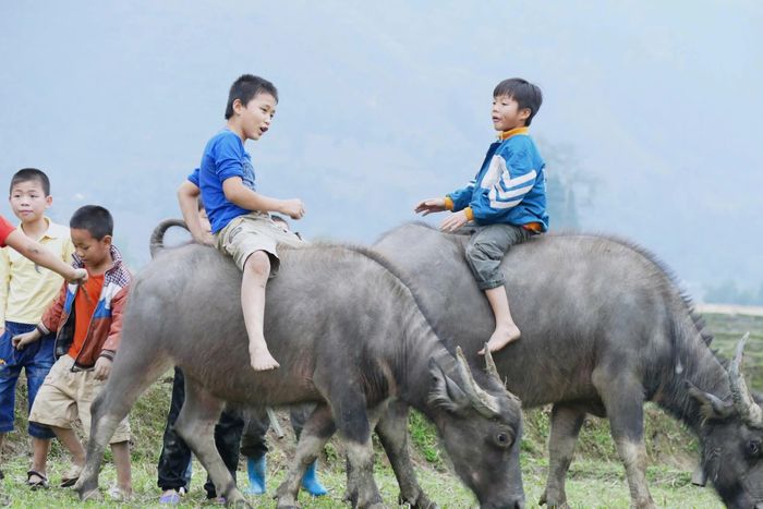 Các em hồn nhiên trên lưng trâu sau những ngày tháng miệt mài học tập. Ảnh: Huy Trường.