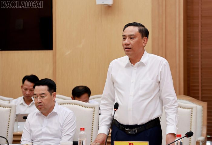 Đồng chí Hoàng Giang, Phó Bí thư Thường trực Tỉnh ủy, Chủ tịch HĐND tỉnh phát biểu tại buổi làm việc.