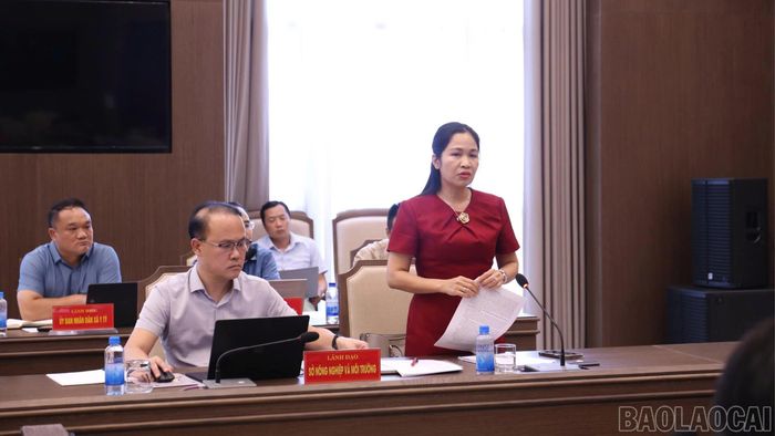 Lãnh đạo Sở Nông nghiệp và Môi trường phát biểu tại hội nghị.