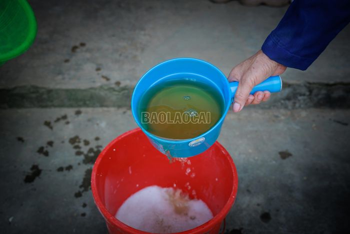Gạo nếp ngon sau khi được vo sạch, để ráo rồi ngâm trong nước tro vàng từ 3 đến 5 giờ.