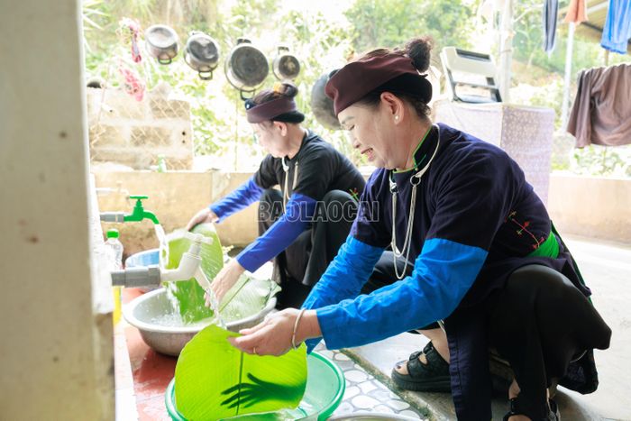 Sau khi thu hái, lá dong và lá chít được cắt bằng đầu, rửa sạch nhiều lần trước khi đưa vào nồi luộc.