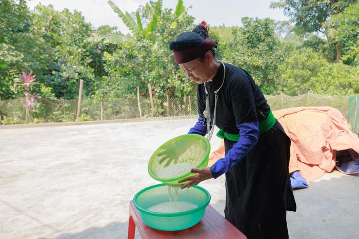 Sau khi thu được phần nước tro trong vàng óng, người làm bánh bắt đầu chuẩn bị gạo nếp. Gạo được vo sạch nhiều lần, loại bỏ hạt lép và tạp chất trước khi đưa vào ngâm trong nước tro.