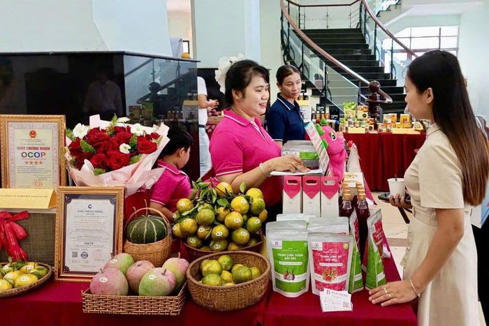 Nông sản Lâm Đồng giới thiệu vùng trồng, tiêu chuẩn sản xuất, quy trình chế biến, bao bì, truy xuất nguồn gốc và năng lực cung ứng