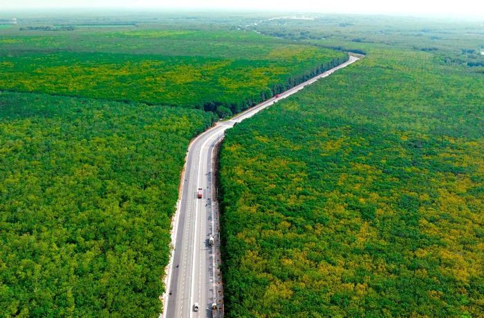 Tuyến ĐT.744 xuyên rừng cao su. Ảnh: Báo Tiền Phong