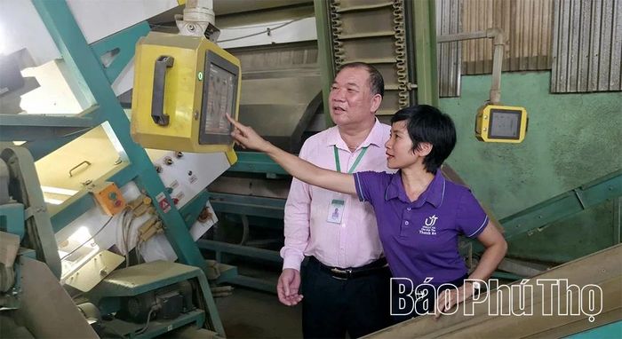 Công ty TNHH Đầu tư và Phát triển Trà UT đầu tư hệ thống thiết bị, công nghệ hiện đại giúp nâng cao chất lượng sản phẩm và sức cạnh tranh trên thị trường.