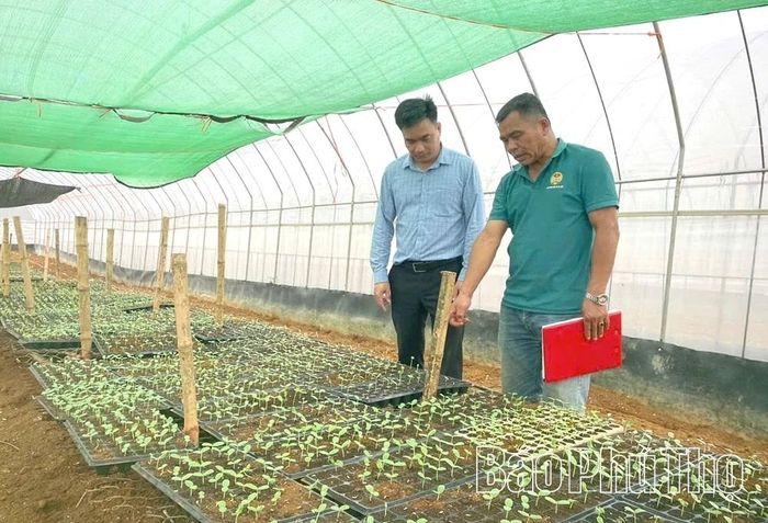 Mô hình sử dụng công nghệ số trong sản xuất rau củ quả an toàn theo tiêu chuẩn VietGAP