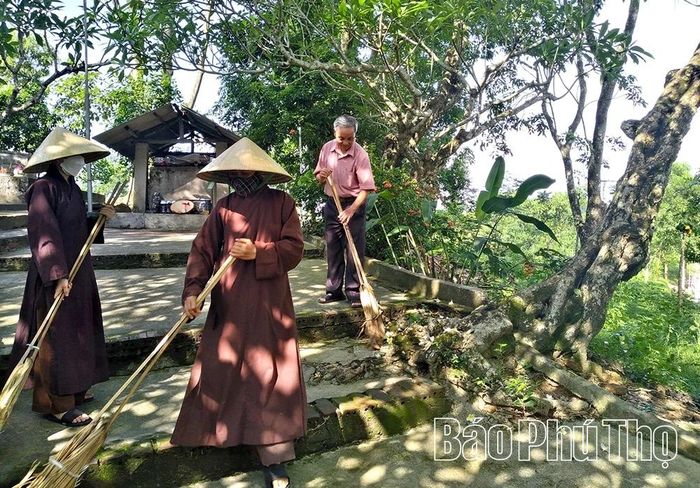 Một góc chùa Đàm Nhan được che mát bởi cây hoa đại hàng trăm năm tuổi.