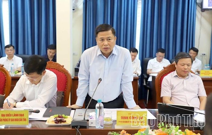 Đồng chí Phó Chủ tịch UBND tỉnh Đinh Công Sứ phát biểu tại buổi làm việc.